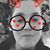 Caroline Konold's profile image