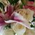 Jean Erlandson's profile image
