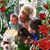 Shary Duff's profile image