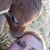 Tracey Pounds's profile image