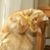Crystal Leah Zoosuiter's profile image