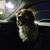 Roland Stallbaumer's profile image