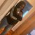 Neela Latrese's profile image