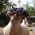 MB Smead's profile image