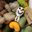 Leslie DeHart's profile image