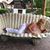 Maria Gonzalez's profile image