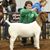 Amy Moore's profile image
