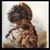 Spencer M Jimerson's profile image
