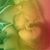 Nathan Giguere's profile image