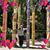 Linh Vu's profile image