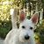 Ruth Ann Miller's profile image