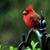 David M. Boudreaux's profile image