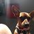 Marcia Cushing's profile image