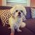 Anthony DellaDonna's profile image