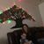 Spring Elizabeth Spellman's profile image