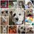 Lynn Speeney's profile image