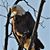 Deanna Lukins Wingart's profile image