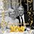 Sue Kopanke Shubert's profile image