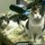 Betty Styran's profile image