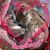 Judi Patricia's profile image