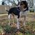 Carolyn Hamilton's profile image