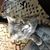 Tanalee Wheeler Weaver's profile image