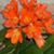 Sue Redding's profile image