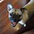 AVegaile Agustin's profile image