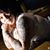 Michele Silver's profile image