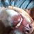 Al Clark's profile image