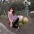 Sydney Wegner's profile image