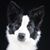 Lysiane Huber's profile image