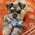 Sarah Keith's profile image