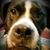Edie Burklund's profile image