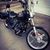 Michelle N Randy Carver's profile image