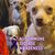 Charlene Heart Muñoz's profile image