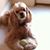 Paula Rodger La Branche's profile image