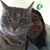 Carolina Galicia's profile image