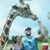 Stanna Johnston's profile image