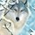 Tricia Andrzejewski's profile image