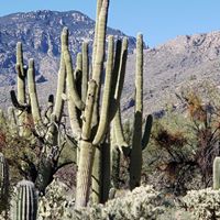 Denise Moroney's profile image