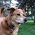 Jean Doran Kessler's profile image