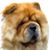 Laura Merritt's profile image
