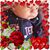 Melissa Hoskins's profile image