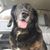 Jeff Berkey's profile image
