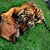 Lorie Burns's profile image