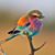 Debbie Freauf's profile image