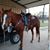 Robbie Perot Hall's profile image
