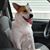 Luann Shutts's profile image