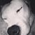 Bridgett Tartt McCaffrey's profile image